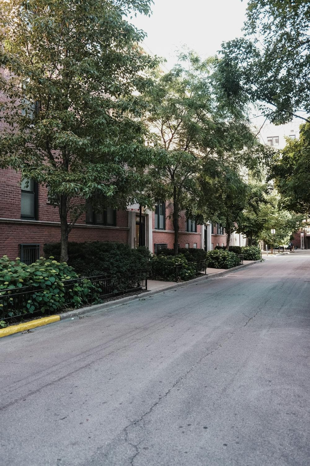 North Center