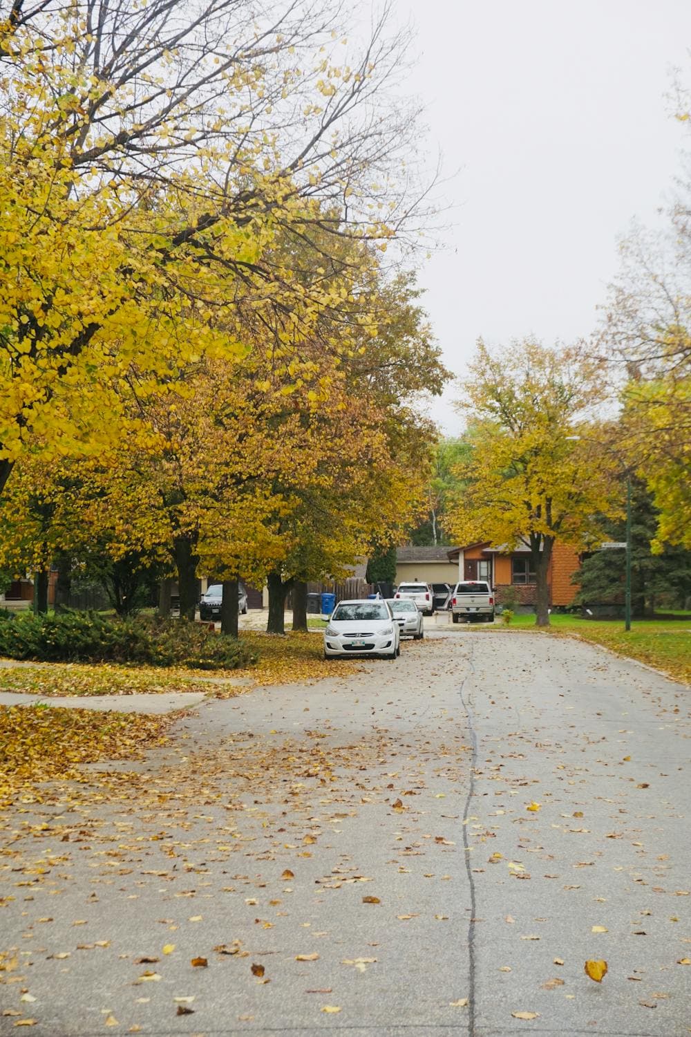 Roscoe Village